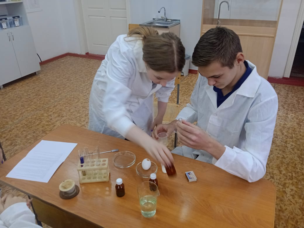 Биология, 10 класс.